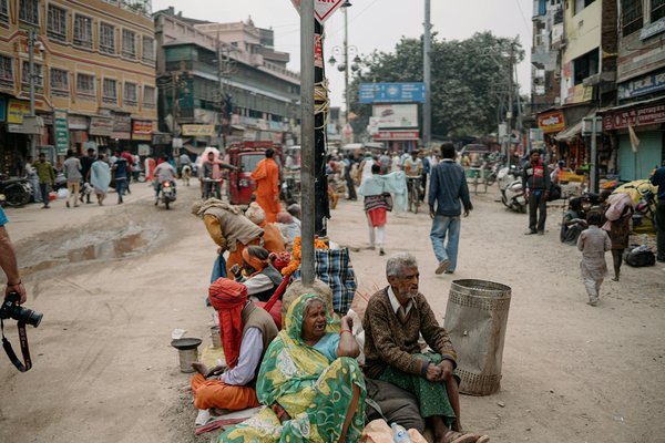 Stratégies innovantes pour créer une campagne impactante en défense de la faune locale